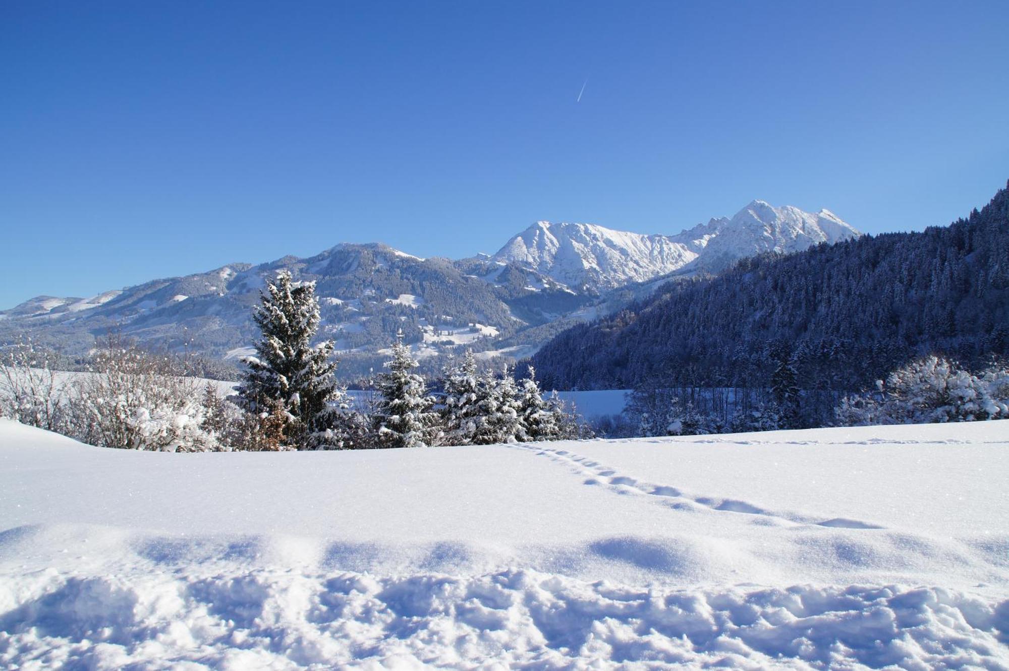 Wohlfuehlhotel Berwanger Hof Obermaiselstein Dış mekan fotoğraf